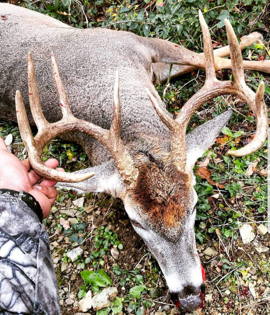successful buck hunting
